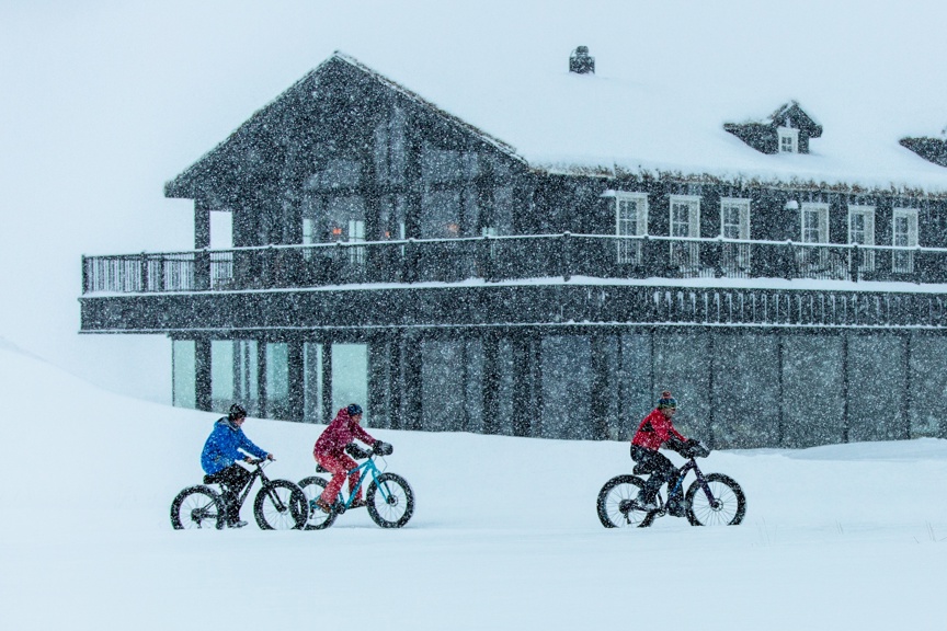 Fat biking in Iceland.